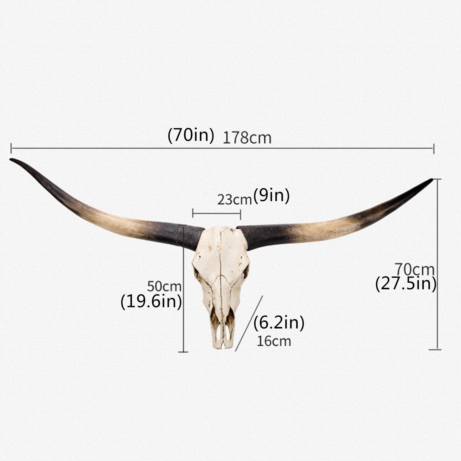 Amazon.co.jp: 70 インチ - 長い角の壁飾り、動物の頭蓋骨、ロング