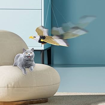 空飛ぶクジラと猫 四谷ゼンジ on X: 