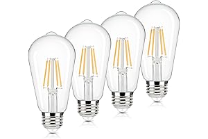 Brightever Vintage LED E26 Medium Base Edison Bulbs
