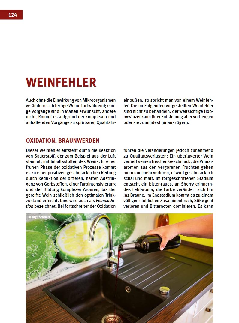 Craft Wine selbst gemacht: Das große Buch der Fruchtweinbereitung