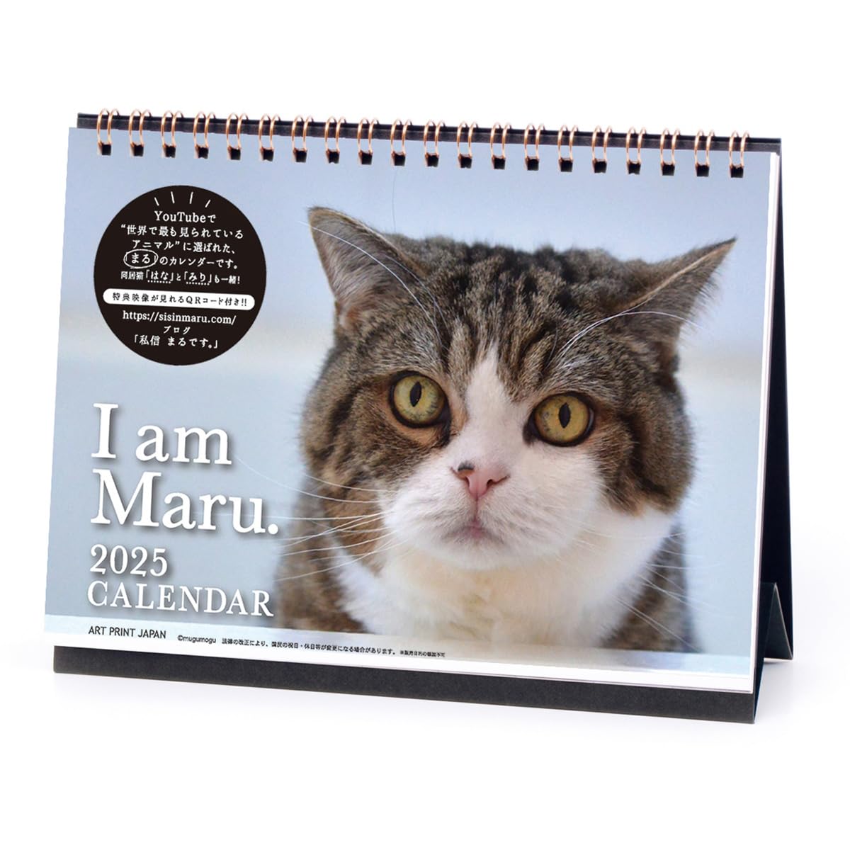 Amazon.co.jp: 2025年 まるちゃん(卓上) カレンダー No.042 : 文房具