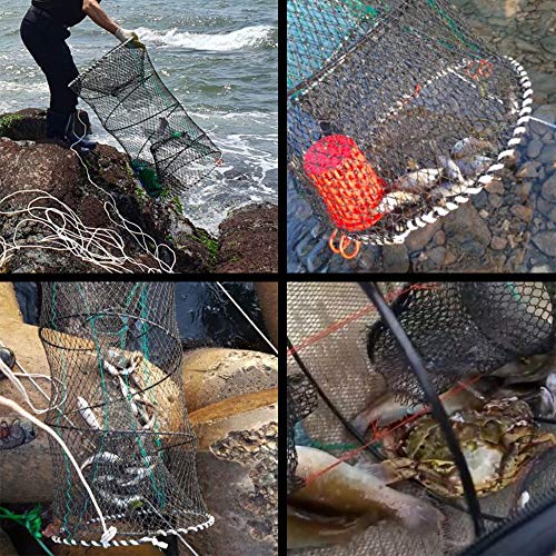 CLAIRLA Portable Collapsible Fishing Trap Net Fish Shrimp Minnow Crayfish Crab Baits Cast Mesh Nets Traps Automatic, Easy Use Folded Mesh Cage Crab Fish Minnow Crawdad Shrimp (Large)