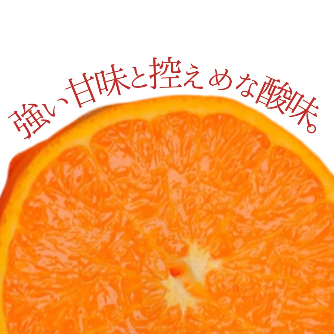 ③【愛媛県産】せとか 家庭用 10kg 愛媛県産 せとか ご家庭用10kg - 愛媛県産 せとか