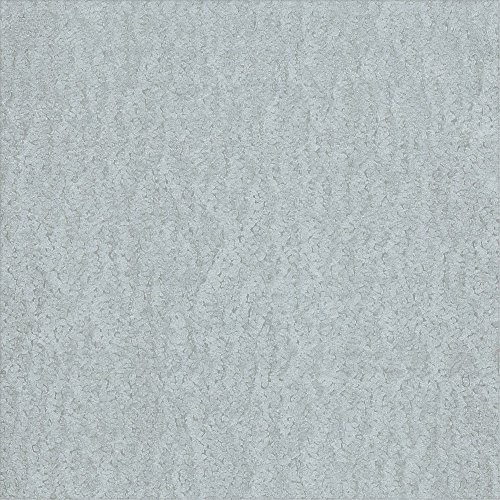 PIASTRA LISCIA zincato 0,5 mm 50 x 25 cm in lamiera di acciaio Inossidabile Piastra di Ferro metallo lavagna