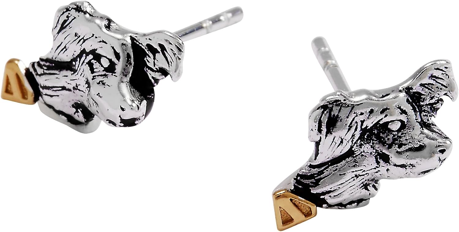 Alex and Ani SUPERMAN Krypto The Superdog Jewelry