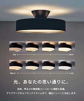 アートワークスタジオ グロー4000 AW-0555E-BK/LW AW-0555E(BK/LW) アートワークスタジオ製シーリングライト