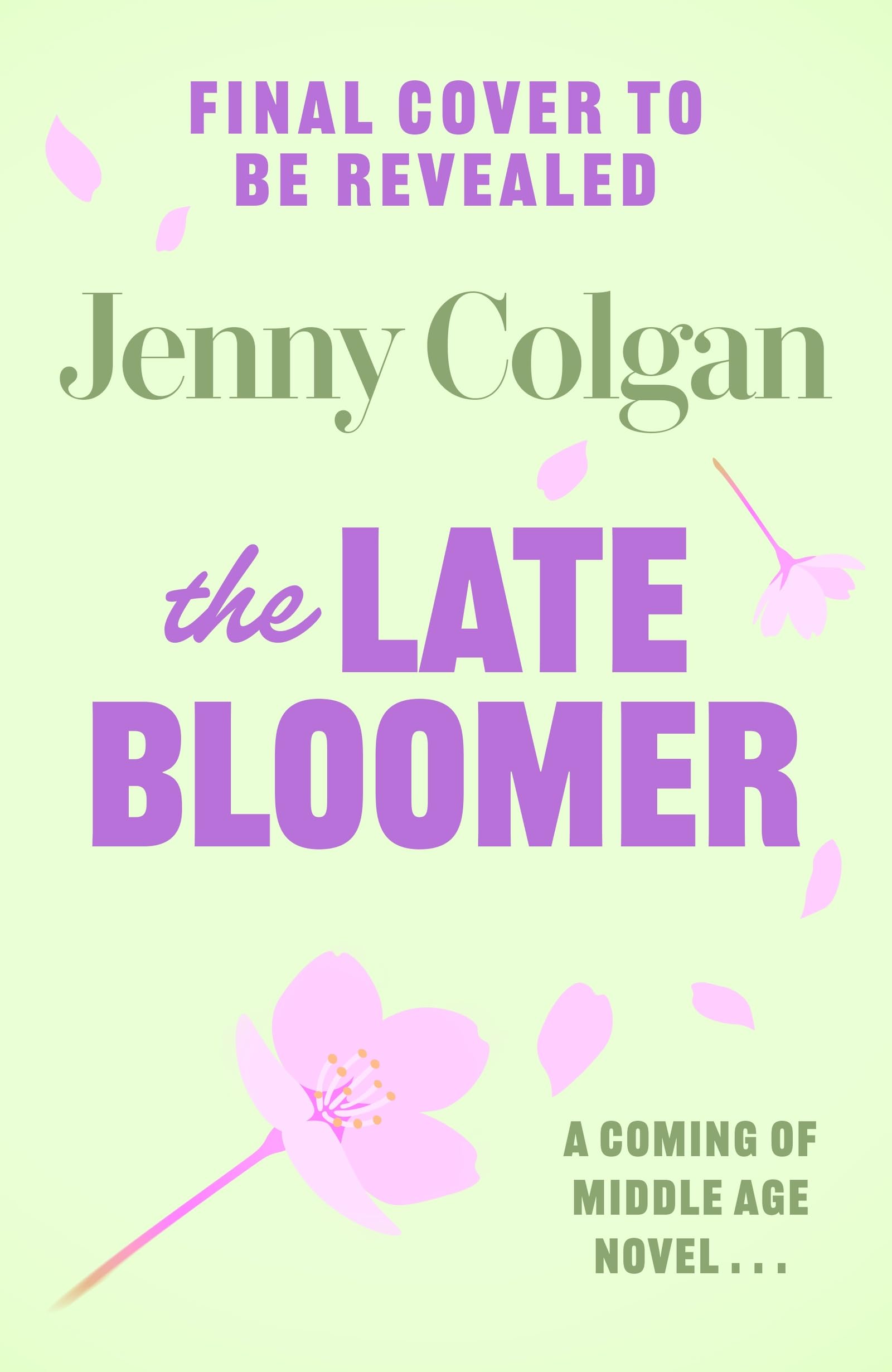 The Late Bloomer: A coming of middle age novel