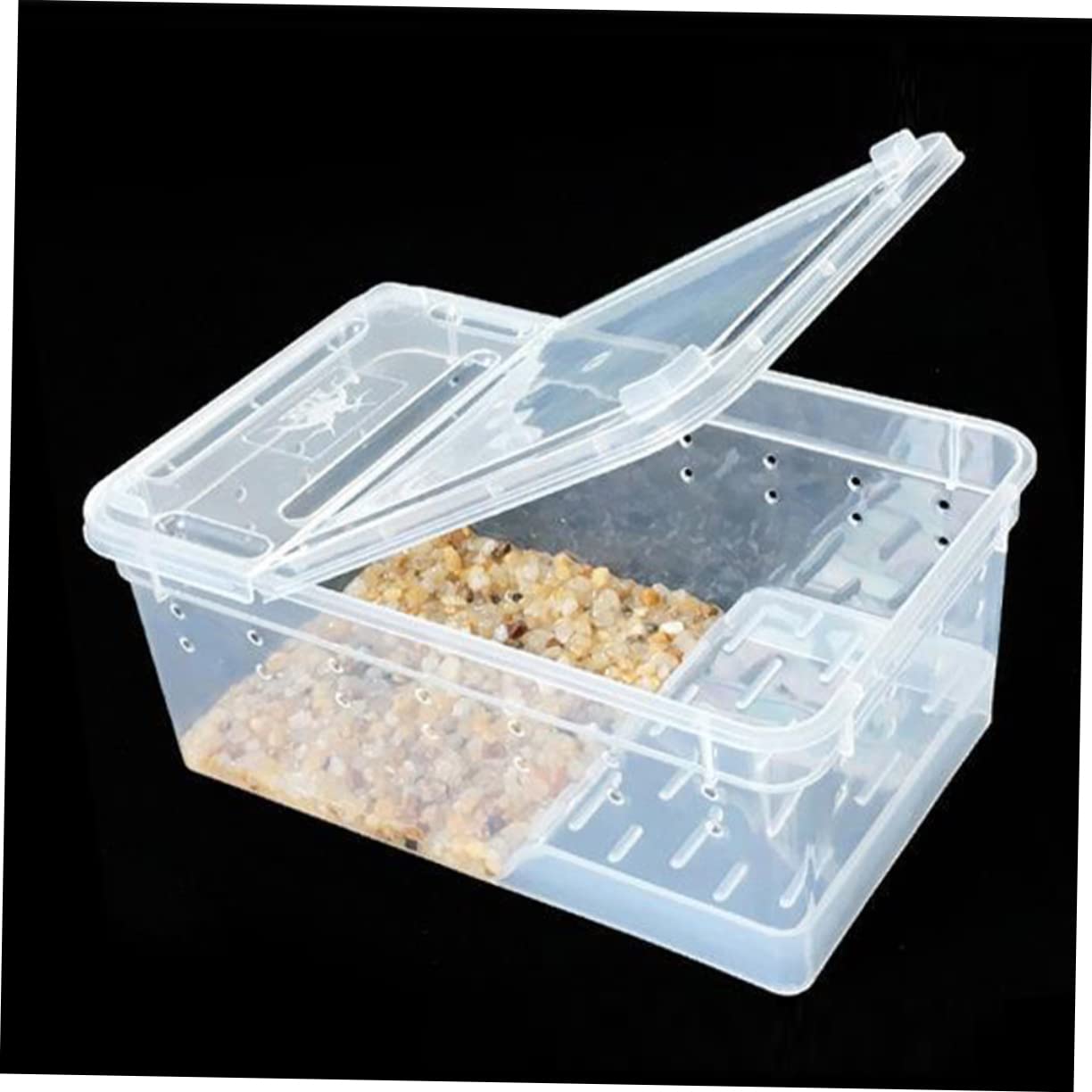 Terrario Rettili con Piattaforma per Tartarughe, Vasca Domestica | Area di Riposo e Alimentazione, Pendenza Adatta, Plastico, per Riabilitazione e Arrampicata Quotidiana