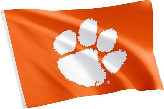 Desert Cactus Clemson University CU Tigers Flag 3x5 Ft Outside A | Officially Licensed CU Clemson Tigers 3 x 5 Feet Team Logo Banner Team Merch, Single Sided, Indoor and Outdoor Flag