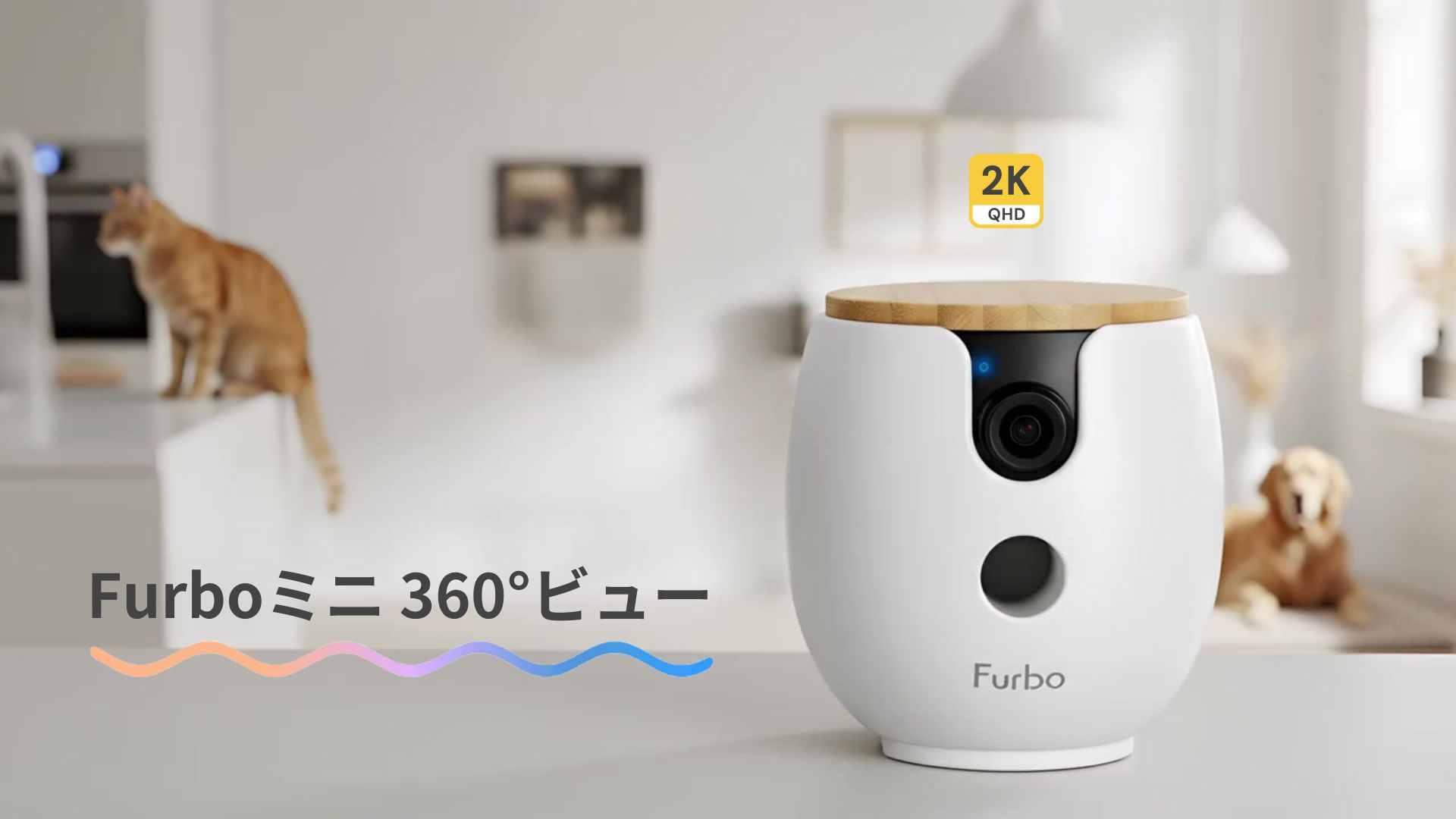 Amazon.co.jp: [公式] Furboミニ 360°ビュー 2K画質 | 150万人愛用の