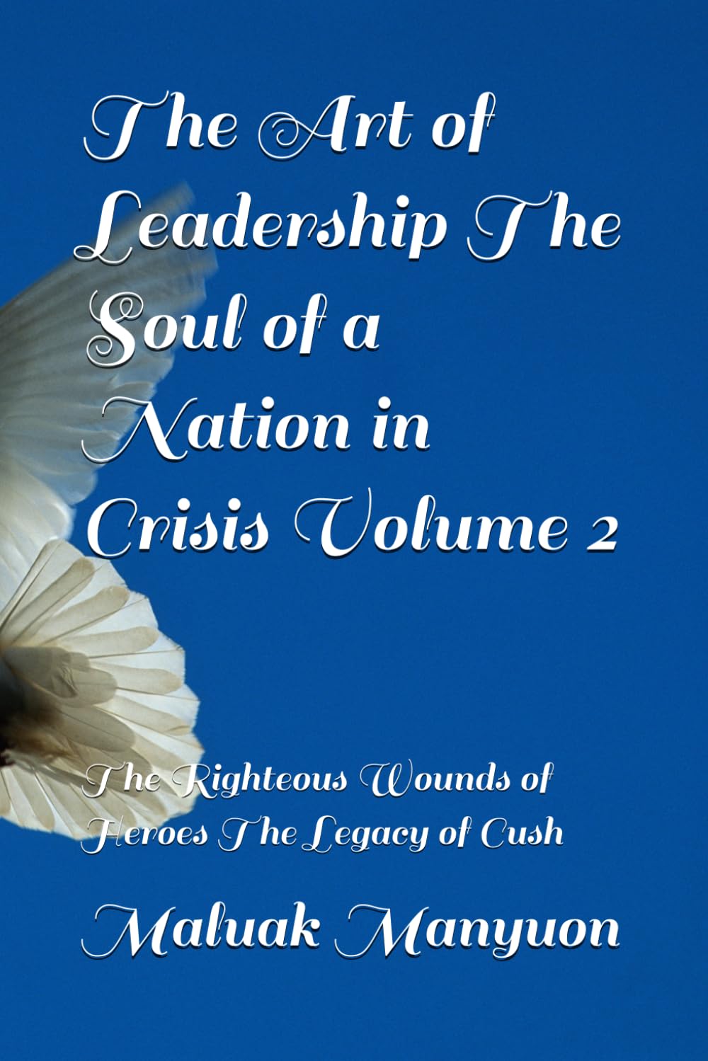 The Art of Leadership The Soul of a Nation in Crisis Volume 2: The Righteous Wounds of Heroes The Legacy of Cush