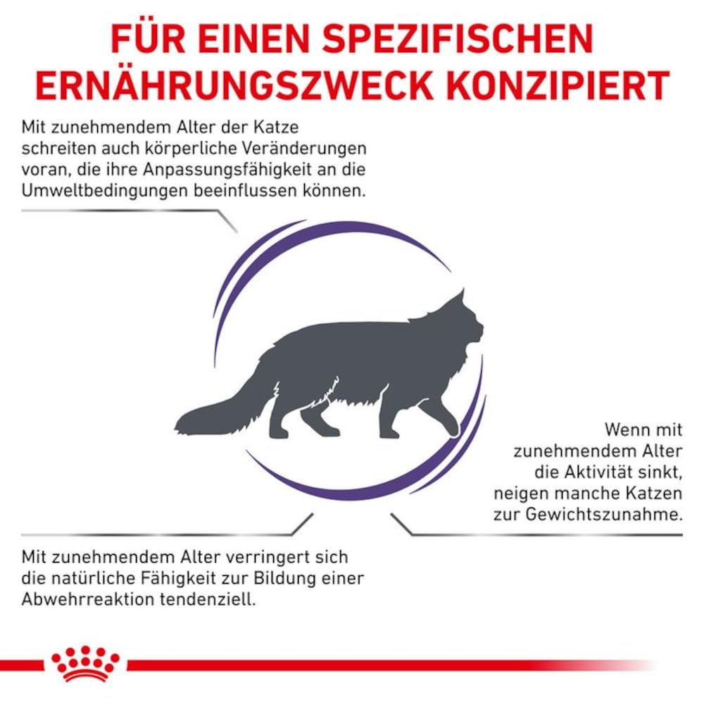 Royal Canin Expert Mature Consult Balance | 3,5 kg | Aliment complet pour Chats | À partir de 7 ans | Chats âgés stérilisés ou ayant tendance à prendre du poids