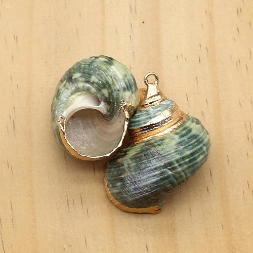 Miniatura 4 de 20 colgantes naturales – espiral, concha, cauri, conchas marinas para náutica, océano, joyería de verano y manualidades, Piedra, Piedra