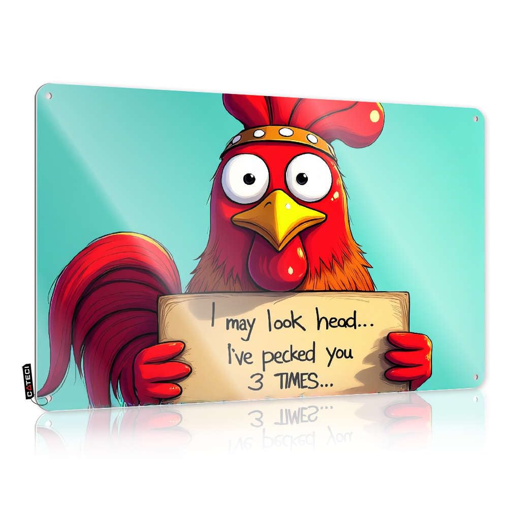 Metal Gift Plaque | I May Look Head. I've Pecked You 3 Times. Novelty Decorative Wall Art Ready To Hang For Basement(30X40CM)