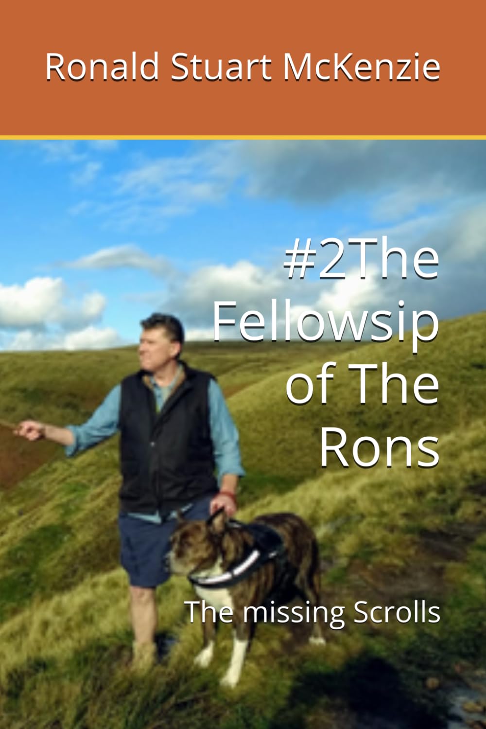 #2The Fellowsip of The Rons: The missing Scrolls (The Chronic Chronicles of The Rons)