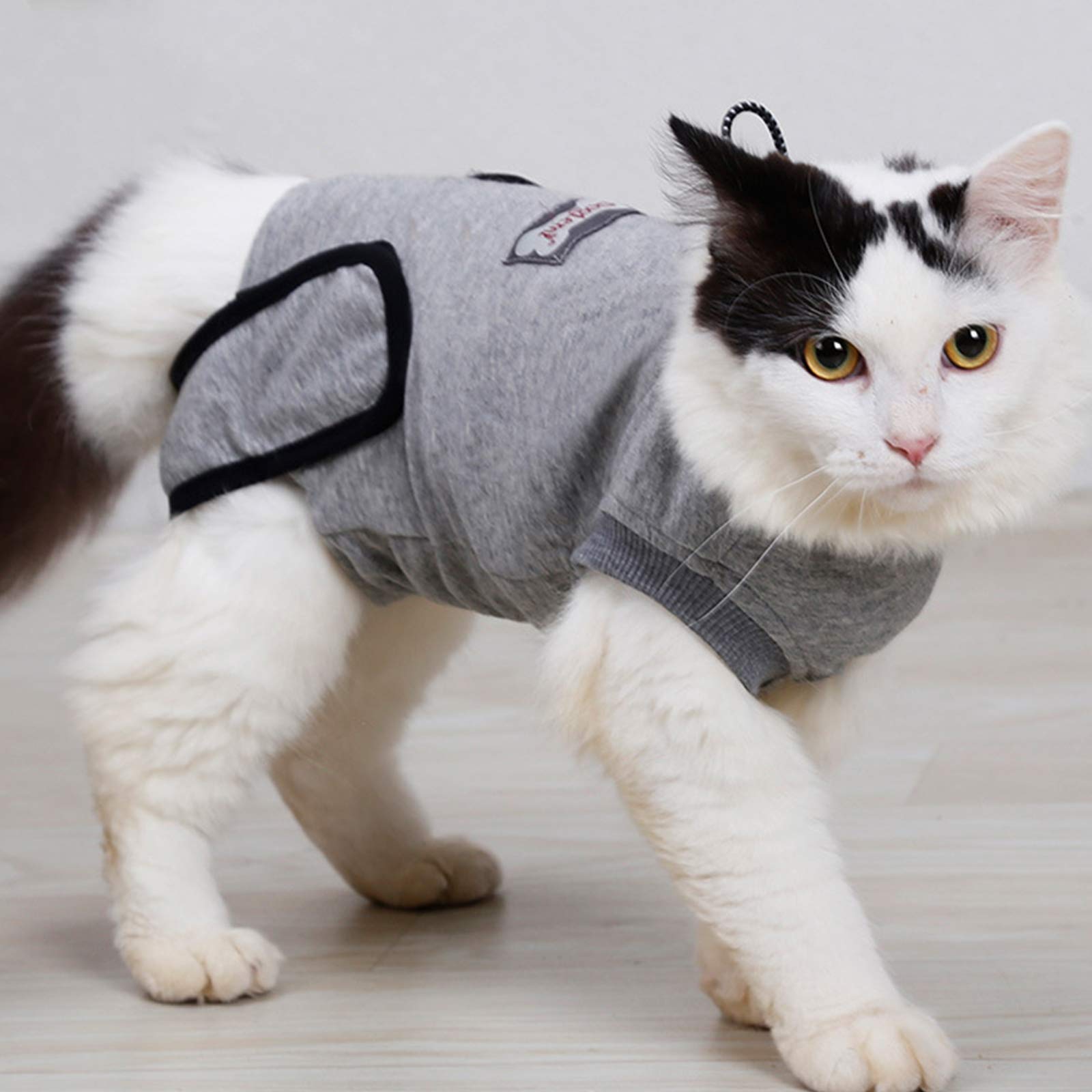 Tuta Da Recupero Professionale Per Gatti Per Ferite Addominali O Malattie Della Pelle, Abbigliamento Domestico Per Animali Domestici Colletto Elettronico Gilet Alternativo Per Gatti Per Cuccioli