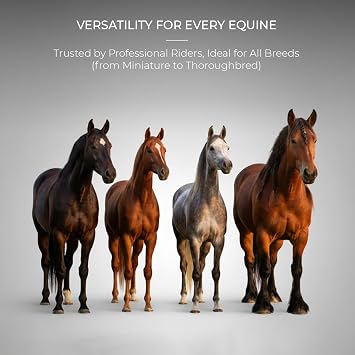 ZenithGroom - Dual Bristle Horse Dandy Brush for Grooming Deep Clean Mud Removal & Coat Shine in One, Stiff Inner Core & Soft Outer Bristles, Beechwood Handle, Professional Equine Body Brush