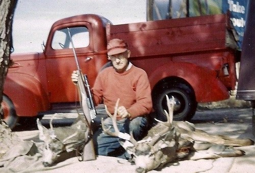 great for soaking your cat in