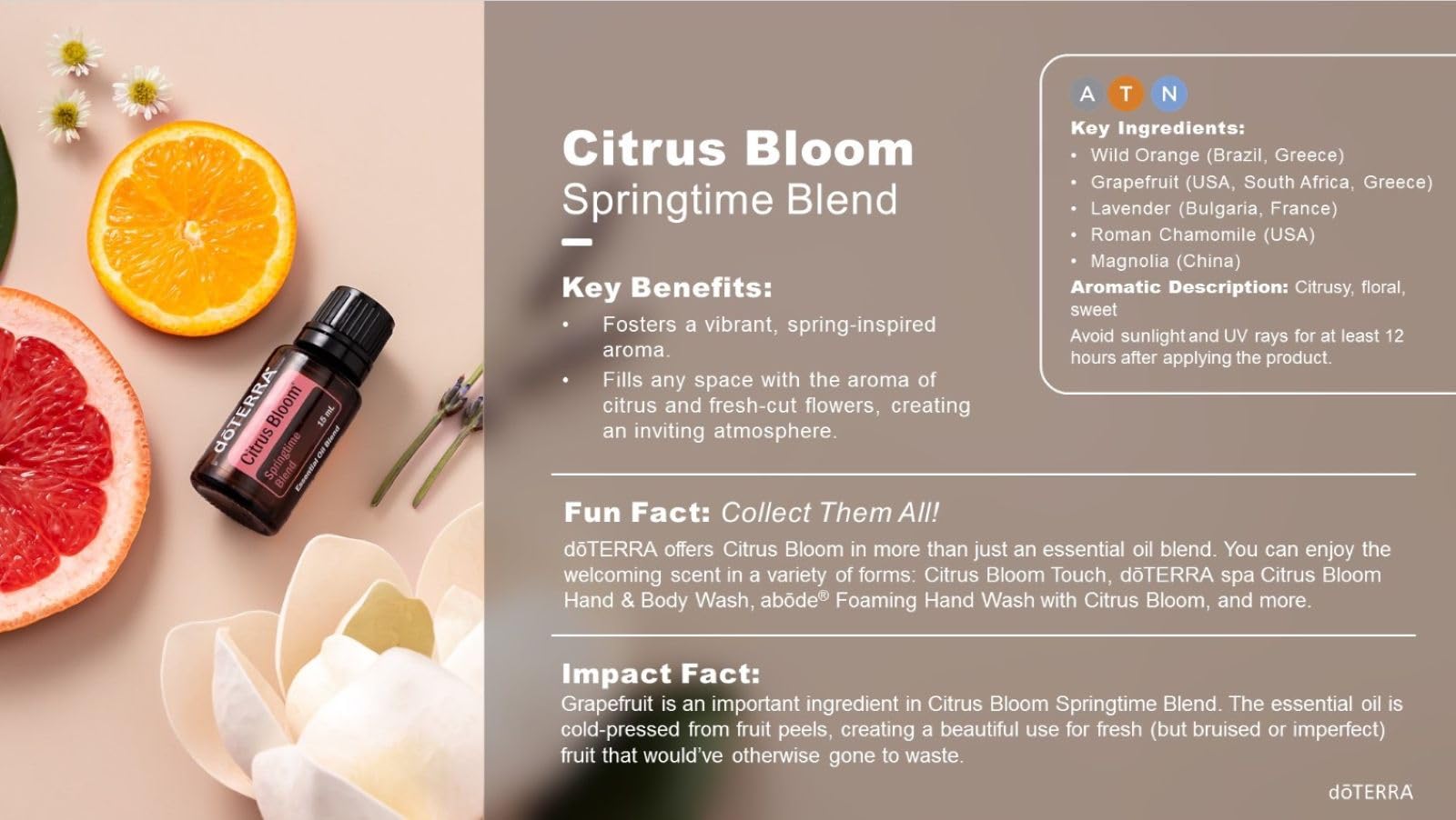 Amazon.com: doTERRA Citrus Bloom™ Springtime Blend : Health