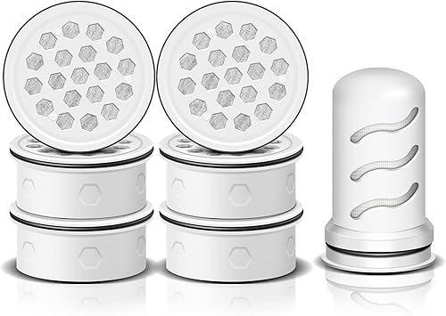 Filtro de repuesto compatible con jarras y dispensadores de filtro de agua LifeStraw Home. Puede eliminar eficazmente la suciedad, la arena, los