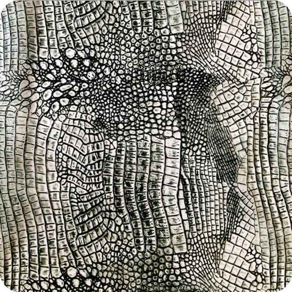 Kit Hydro Dipping BASIC - Pellicola 50x100cm + Attivatore Spray 400ml, Per Decorazione Superfici