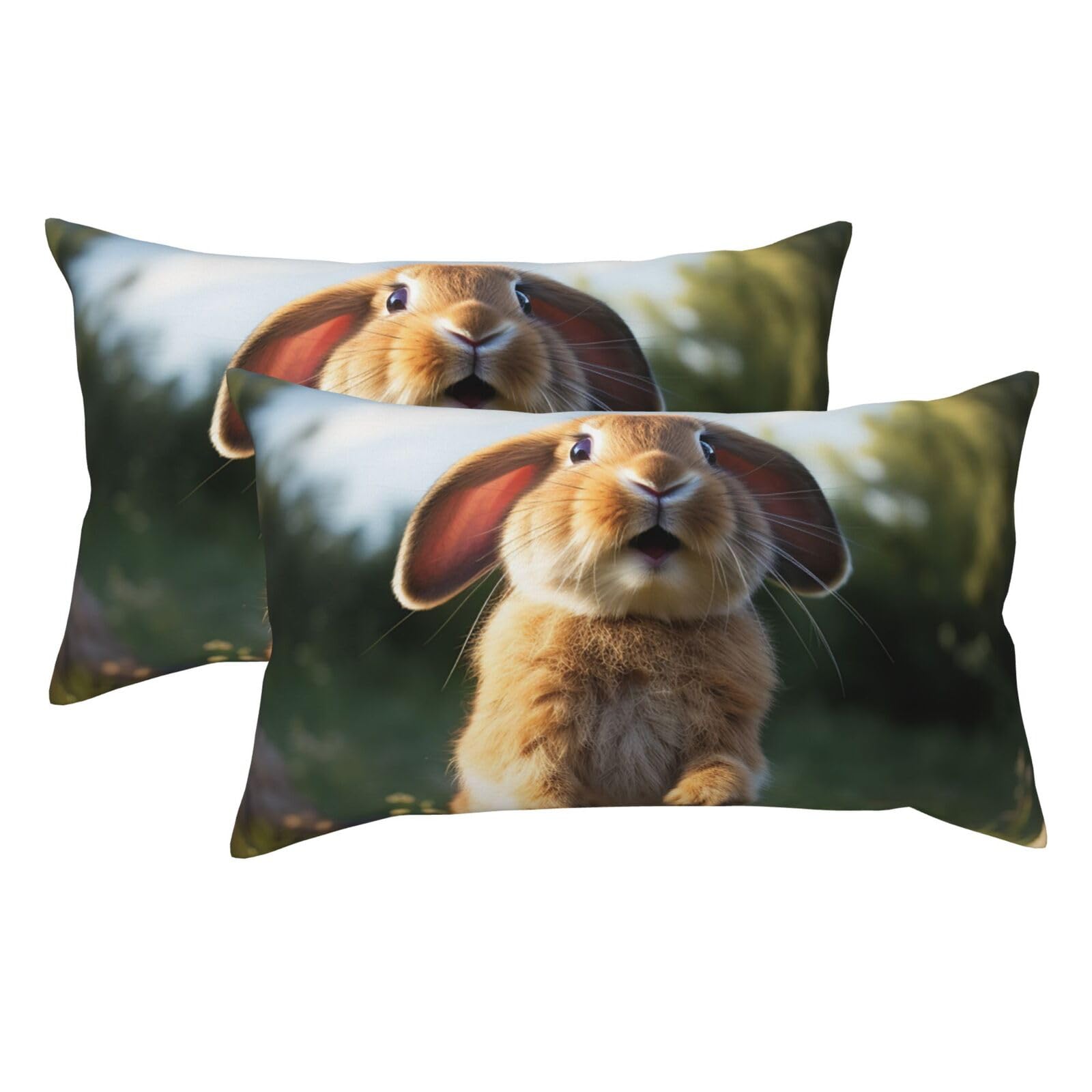 2 Pack King Pillow Cases with Hidden Zipper, Soft Breathable Pillow Covers for Hair and Skin, Cute Funny Rabbit Pillowcases 20"x36" Bed Pillow Protectors Cover for Sleeping Gifts