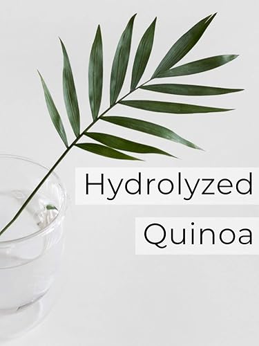 Miniatura 6 de MARTIAL VIVOT Champú orgánico certificado para el cabello, fórmula reparadora del cabello, suaviza hidrata el cabello, fórmula de aloe vera, sin