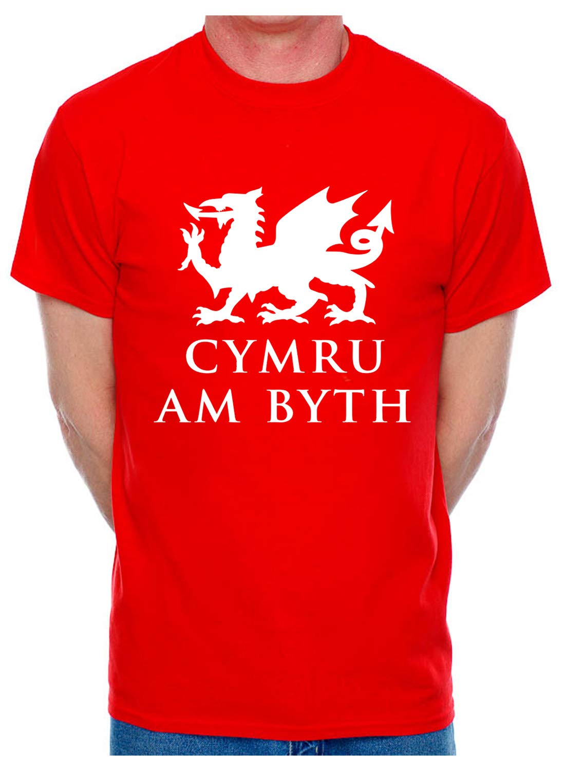 Print4U Mens T-Shirt Cymru Am Byth Welsh Dragon Large Red