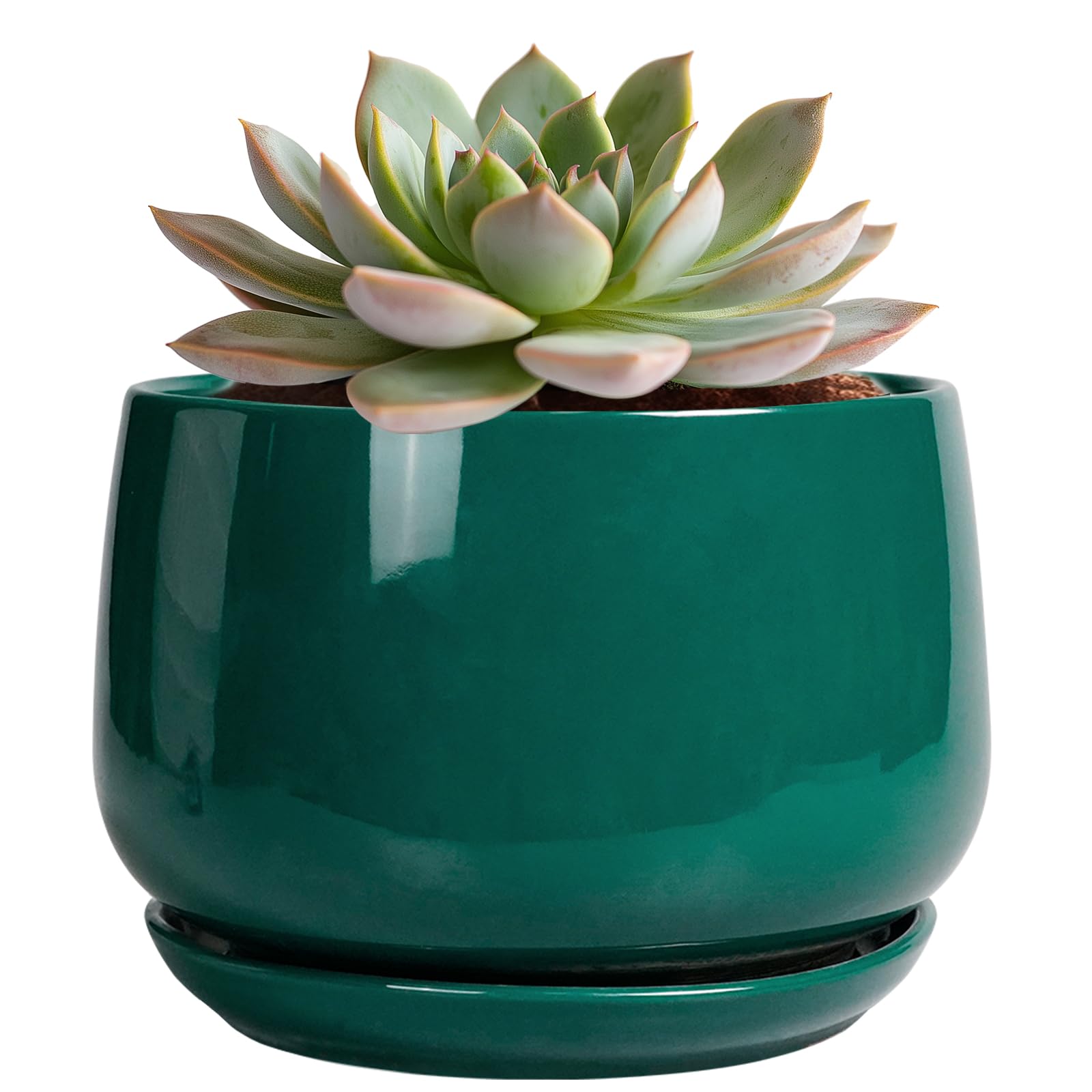 G EPGardening 6 Inch Ceramic Planter