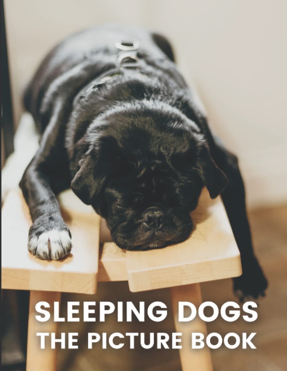 Sleeping Dogs: The Picture Book of Dogs for Seniors, Dementia Adults with Alzheimer's, and Patients to Help Memory Loss.