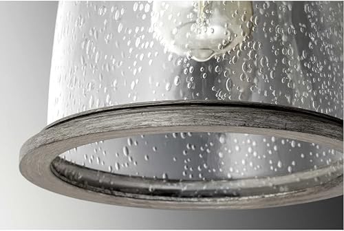 Miniatura 5 de Spark & Spruce 24015-APCS - Farol colgante para exteriores (11.0in), diseño de caléndula