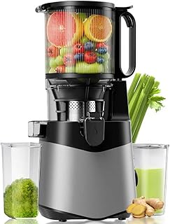 Cold Press Juicer, 5.8