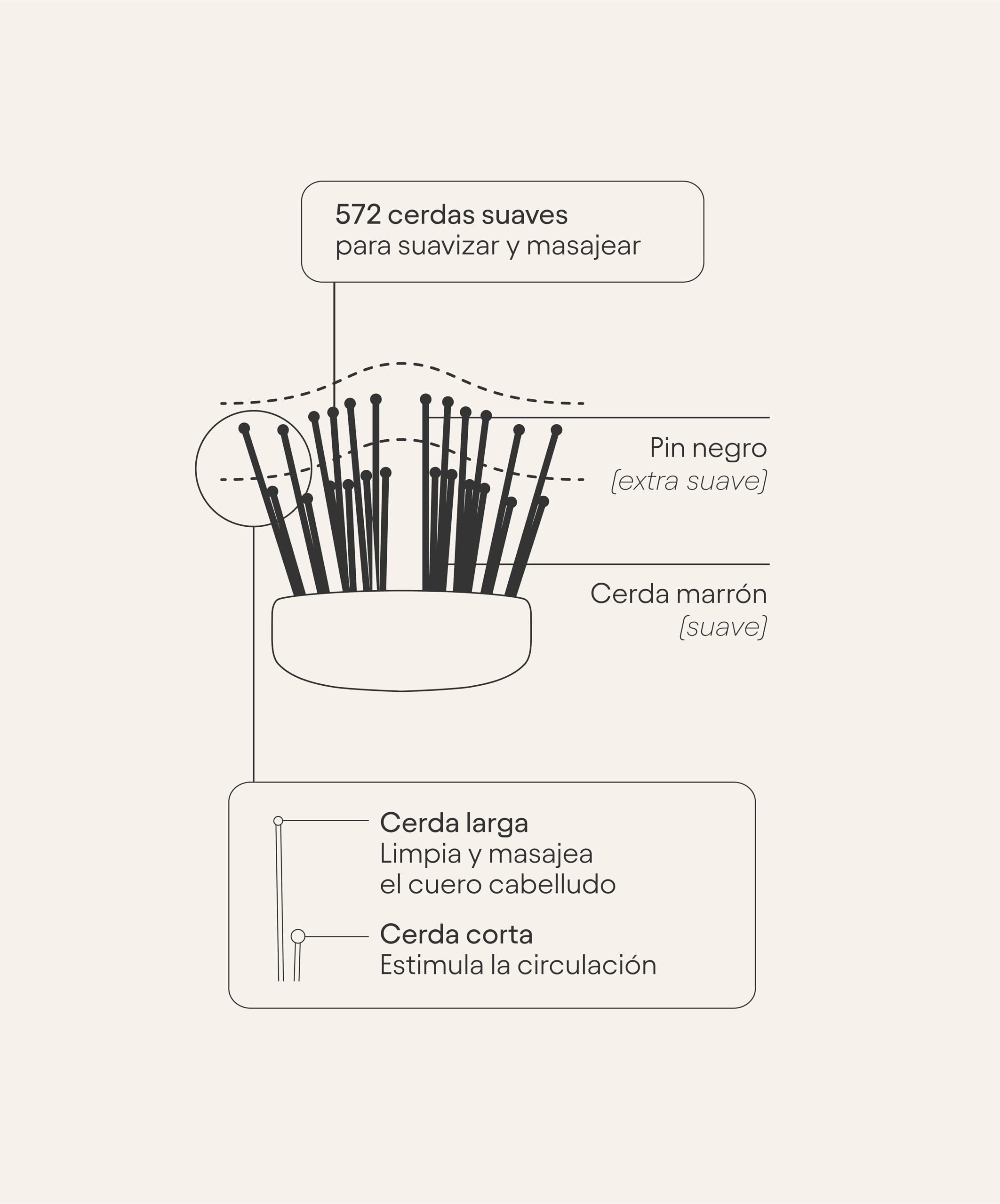 Olistic WOMEN - Pack de 3 x 28 Ampollas + Cepillo, Suplemento Anticaída Cabello para Mujer, Fortalece las Fibras Capilares y Ayuda a Prevenir la Caída de Pelo, Natural, Vegano, Sin Gluten