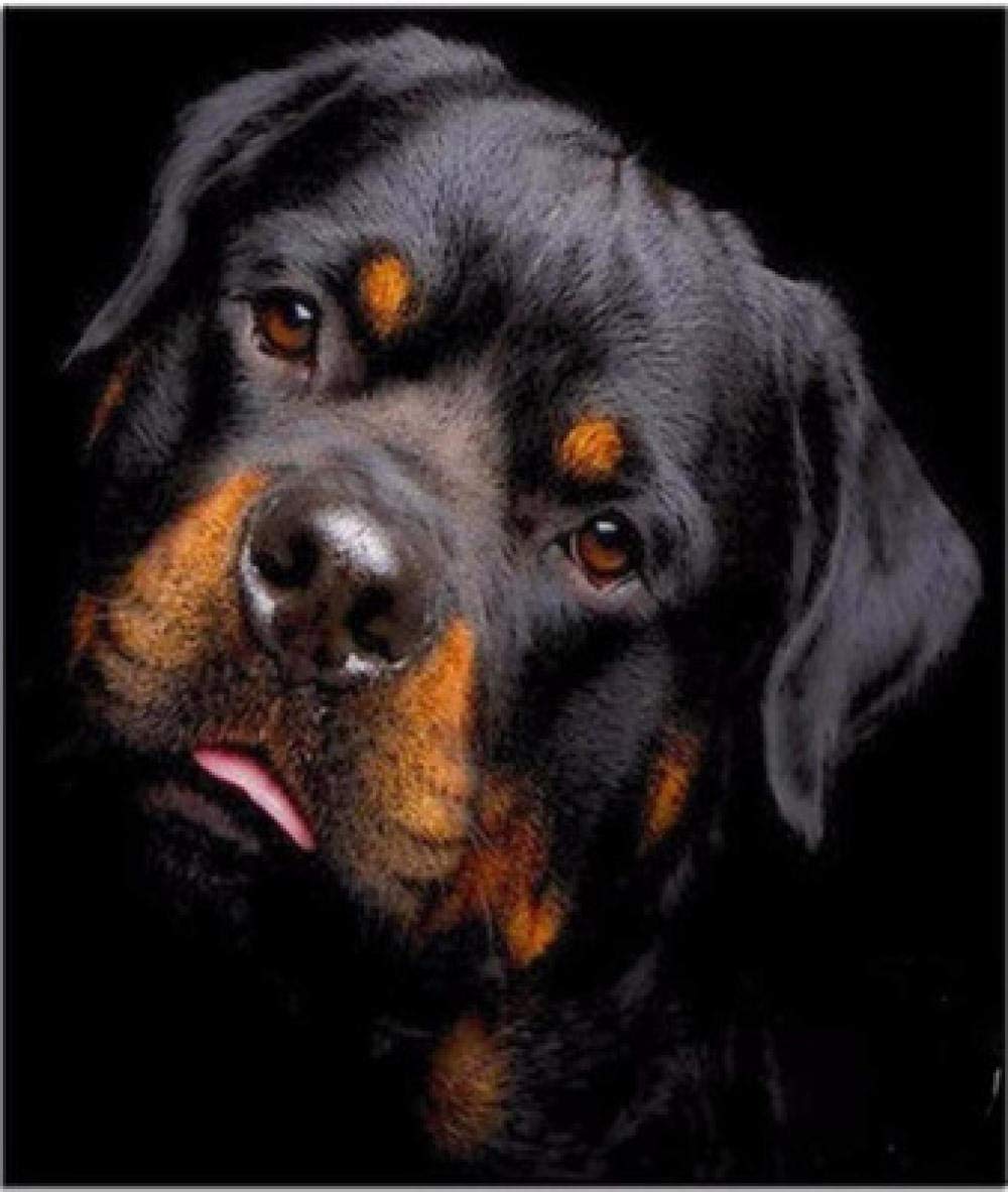 Peinture diamant 5D chien noir broderie mosaïque carrée de 30x40 cm