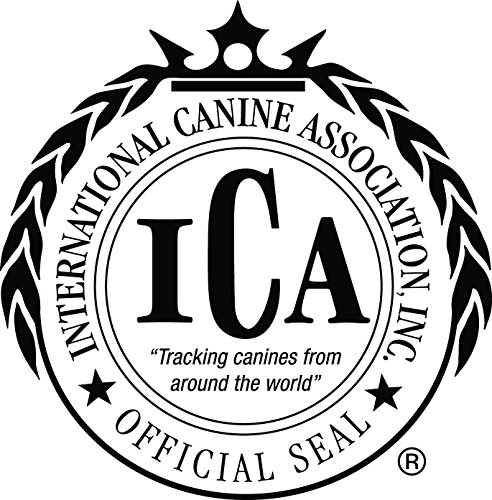 The Original Tick Key -Tick Removal Device - Portable, Safe and Highly Effective Tick Removal Tool - 3 Pack (USA) - Image 4