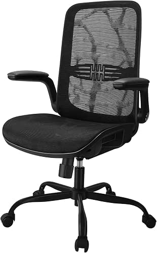 Ergonomic Office Chair, Comfy Mesh Computer Desk Chair, Mesh Back