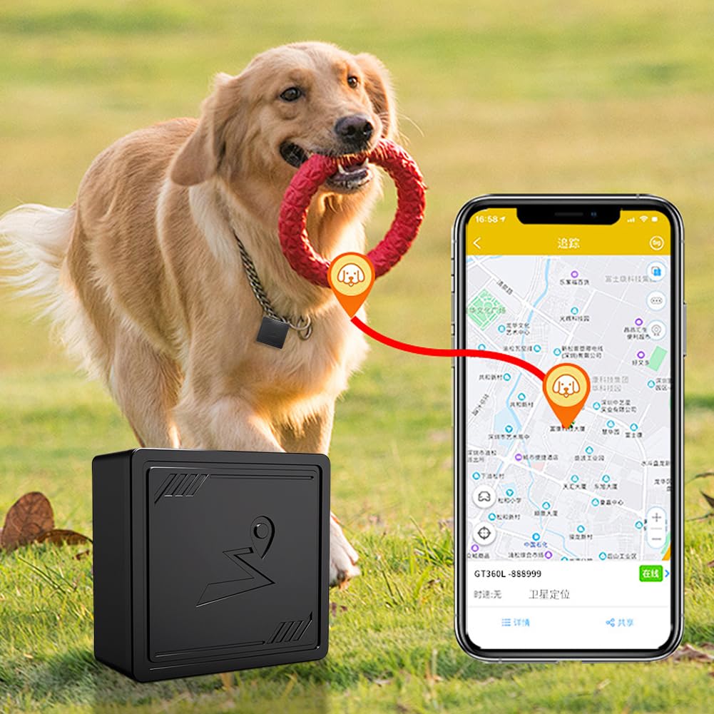 Localizzatore GPS 4G compatto con App Localizzatore per Veicolo Bambini Animali Anziani Sicurezza e Monitoraggio Preciso
