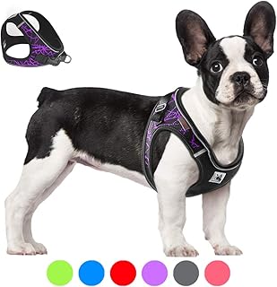 yap dog harness
