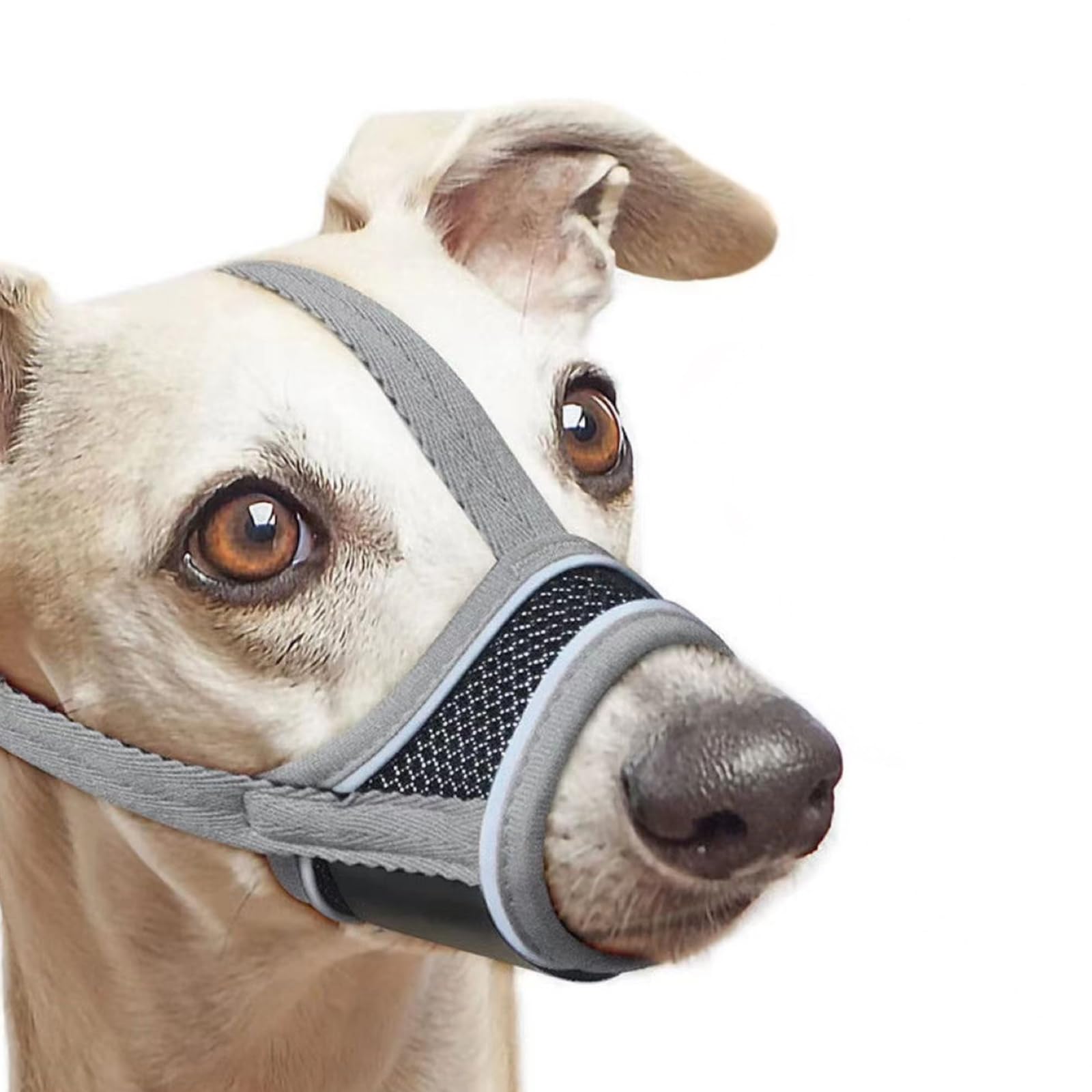 Pet Dog Muzzle, Anti-Bite, Anti-Barking, Anti-Chewing, Anti-Eating, Adjustable Mouth Guard