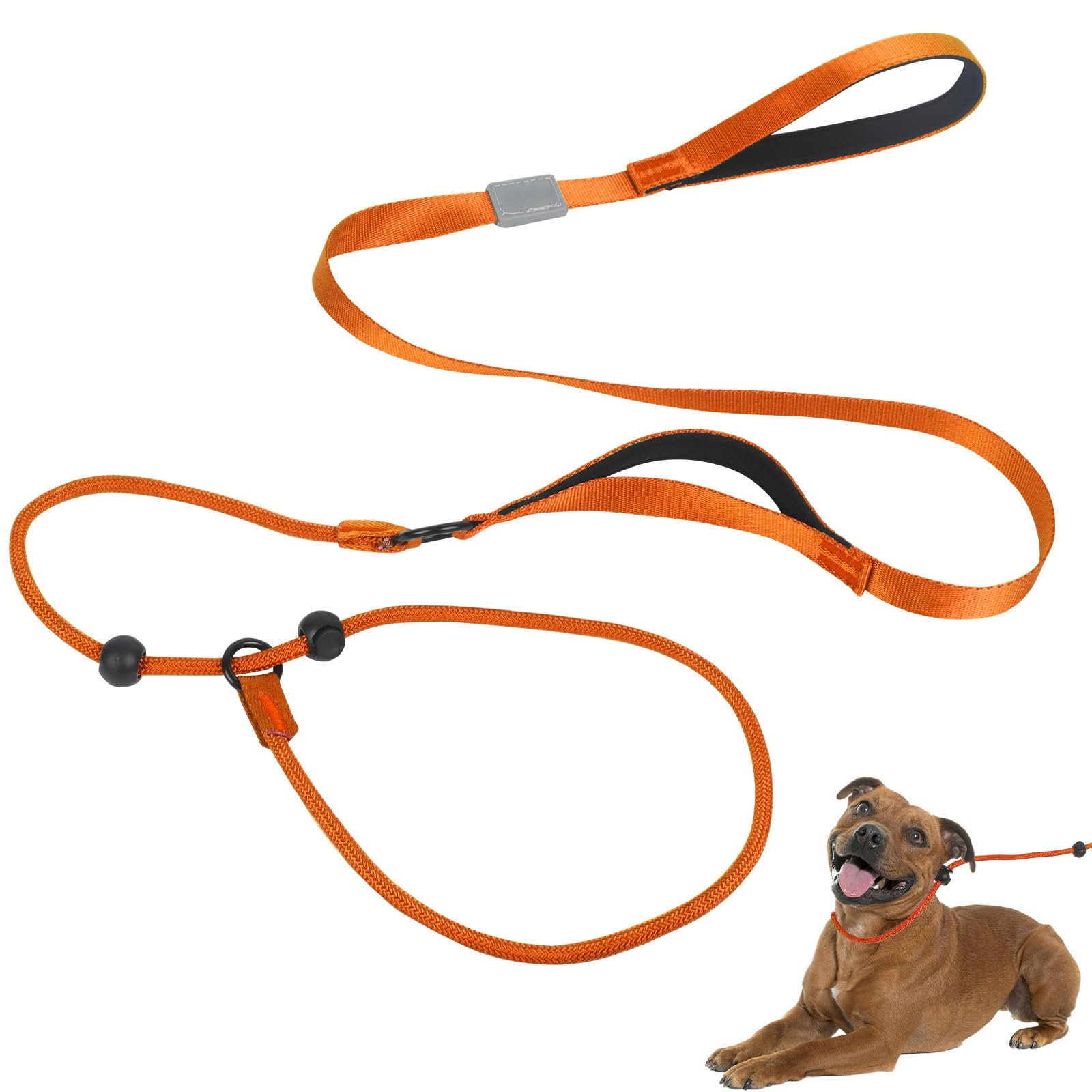 Slip Lead for Dogs Dog Slip Collar Anti-Choking, Double Handle Dog Lead with Soft Foam Padded & Climbing-Grade Nylon Rope