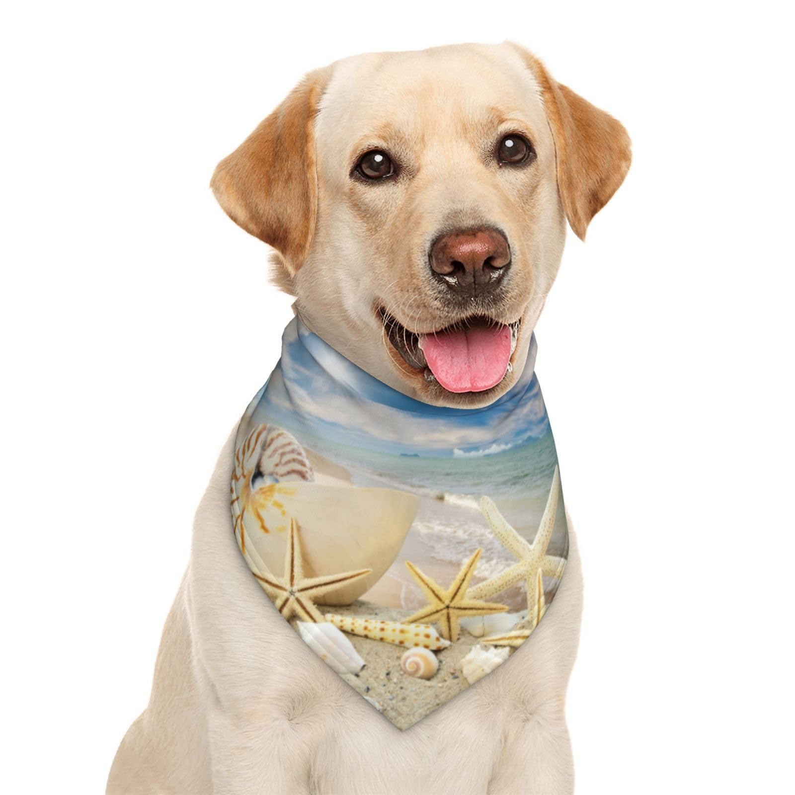 Sea Shells Star Fish Ocean Beach Tide Pool Dog Bandana Scarf Triangle Bibs Pet Accessories Cat Kerchief