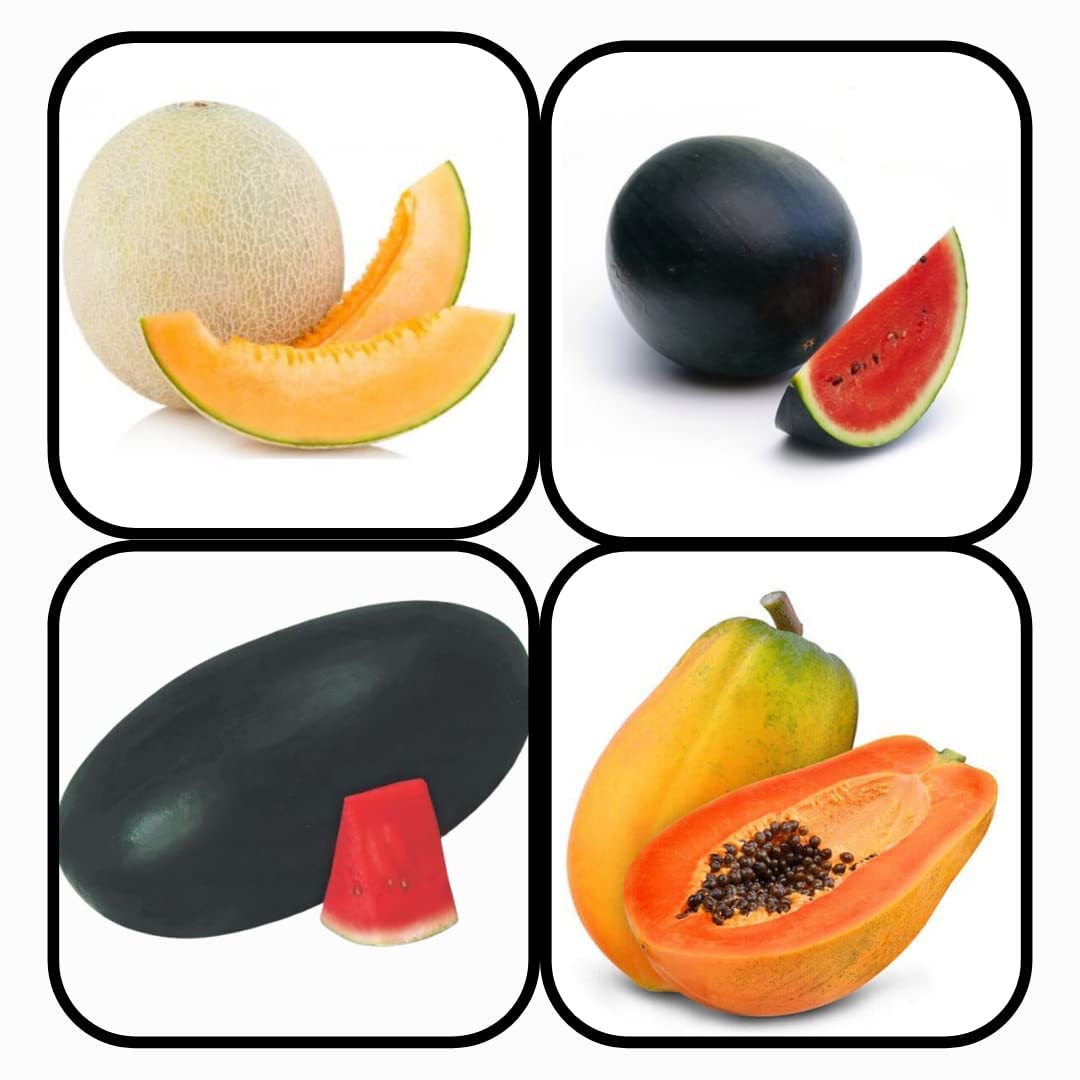 afflorance Organic Gardening Combo Pack Of 4 FRUIT Seeds | MUSK MELON, WATER MELON ROUND, WATER MELON OVAL & PAPAYA | Easy To Grow | Best Suitable For Terrace And Home Gardening