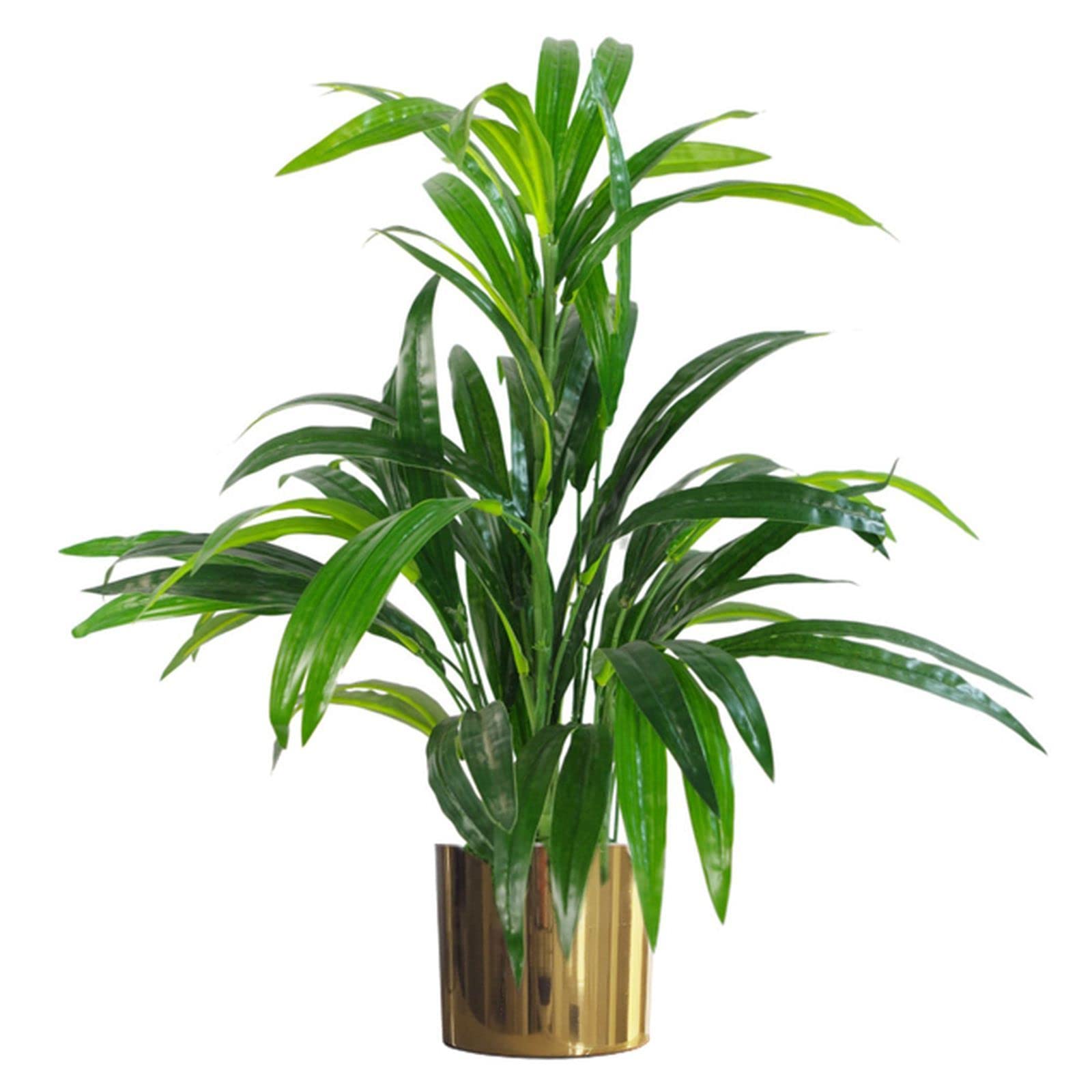 65Cm Artificial Large Leaf Bamboo Shrub Plant With Gold Metal Planter from B&Q