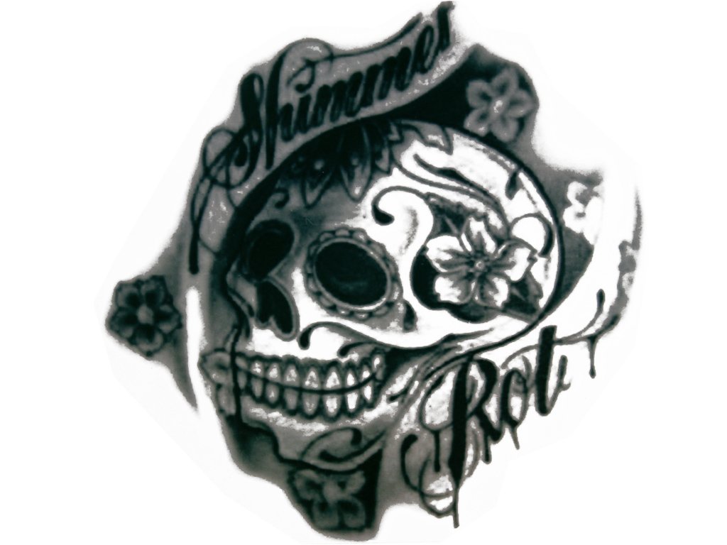 Novu InkShimmer Skull Temporary Tattoo Artist Design Transfer Pack of 2 (11cm x 11cm)