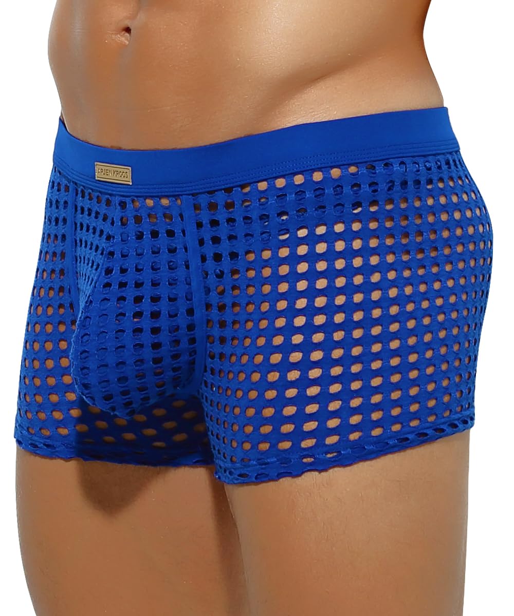 Men's Sexy Trunks Sheer Mesh Underwear Novelty Low Rise Lingerie
