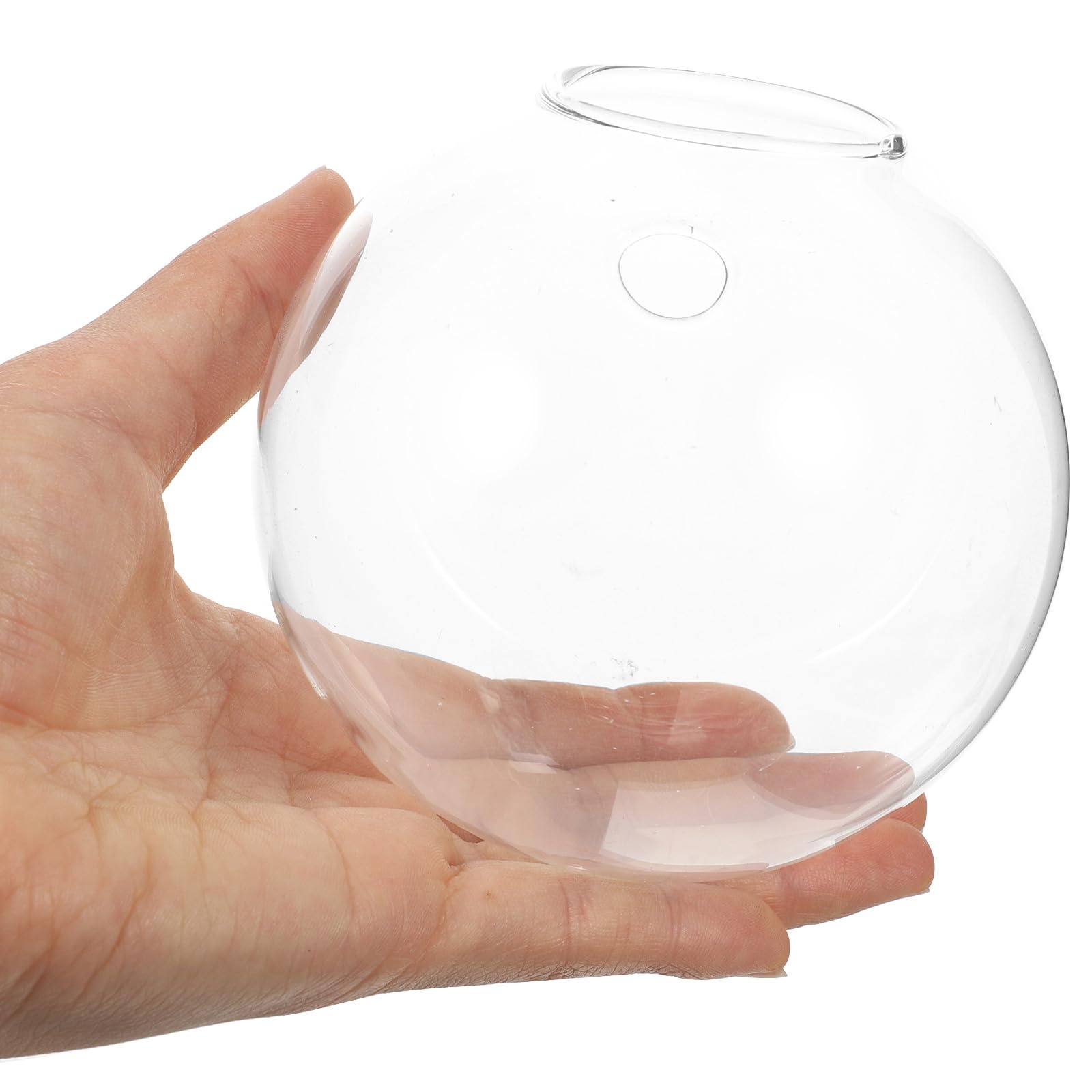 DECHOUS 4 pièces Vase Hydroponique Mural Verre Transparent Station de Propagation Ronde Compacte pour Plantes Intérieur Support Mural Pratique pour Bureau et Maison Optimise Espace et