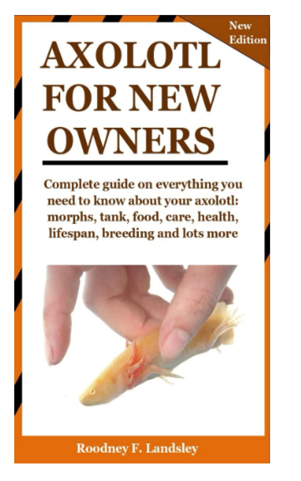 Buy AXOLOTL FOR NEW OWNERS Complete guide on everything you need to