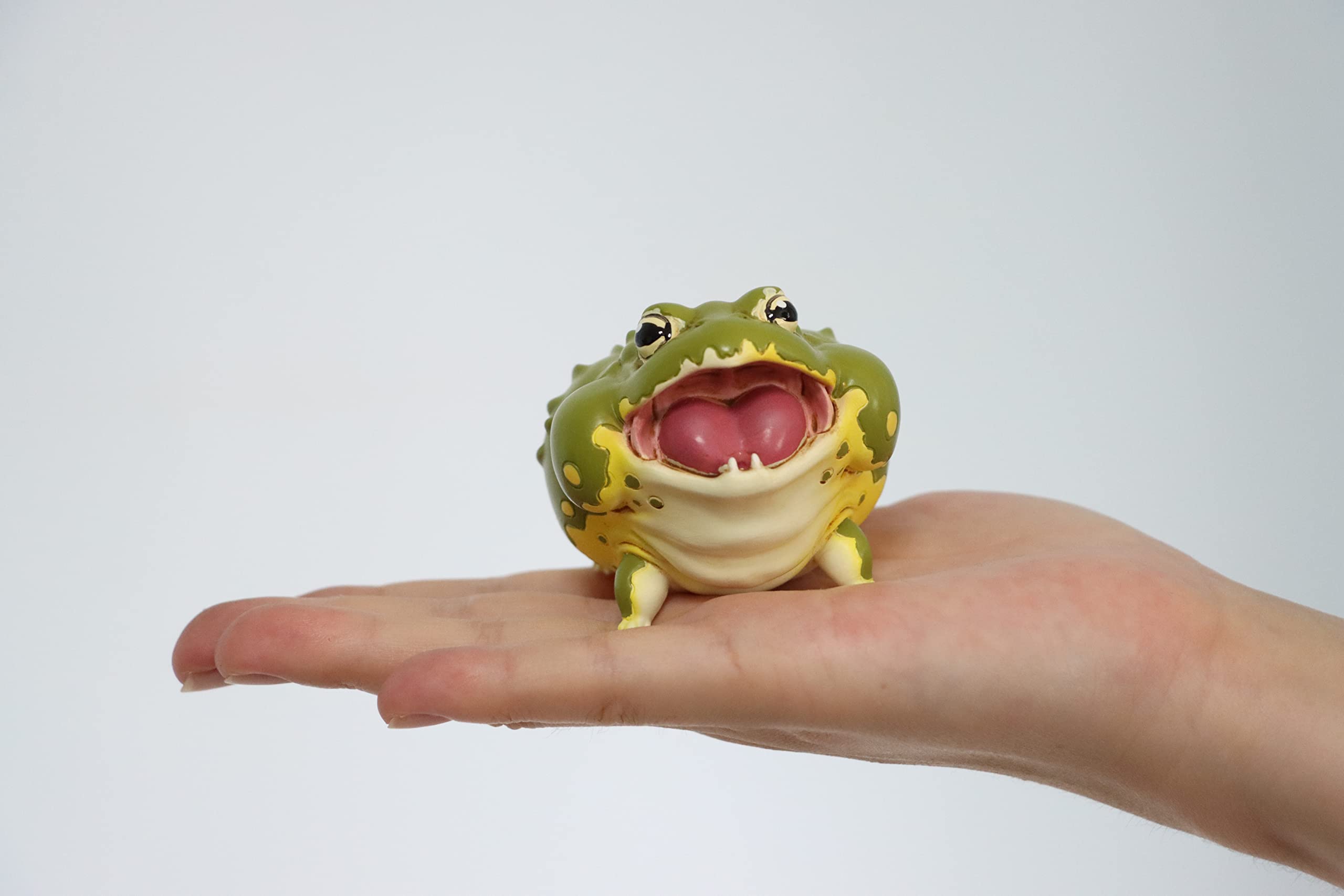 Amazon | 博物志 カエル アマゾンツノガエル ミツヅノコノハガエル Amazon | 博物志 カエル アマゾンツノガエル ミツヅノコノハガエル