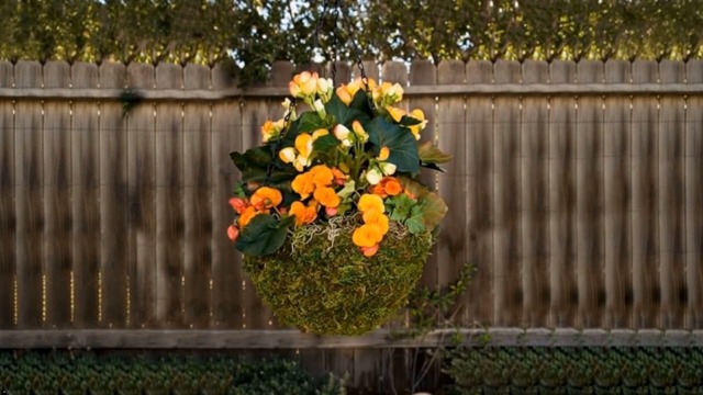Amazon.com : SuperMoss (29202) MossWeave Hanging Basket - Round