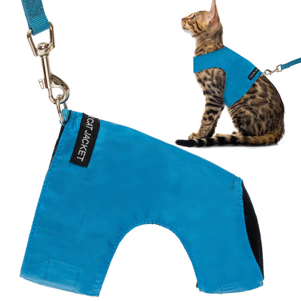kitten fleece jacket